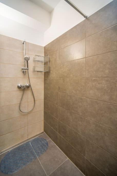 בודפשט Grace Pine Apartment 1 מראה חיצוני תמונה